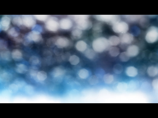 Christmas Light: 14