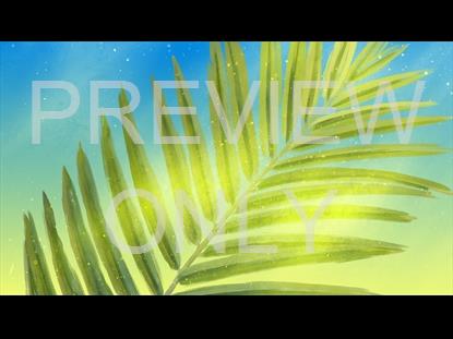 Beautiful Dust Palm Sunday 04