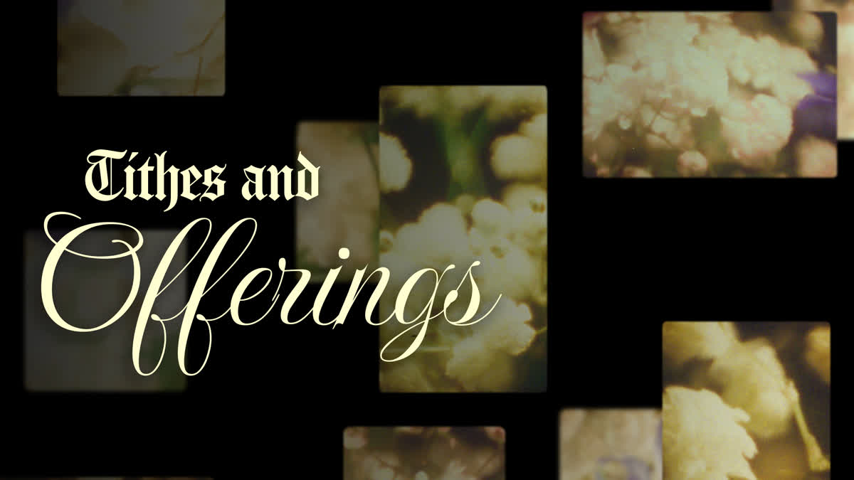Bloom Again Tithes