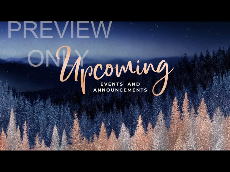 Sparkling Trees Upcoming Still
