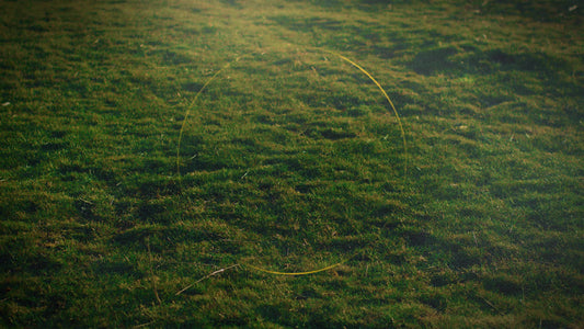 Heaven And Earth Still 08