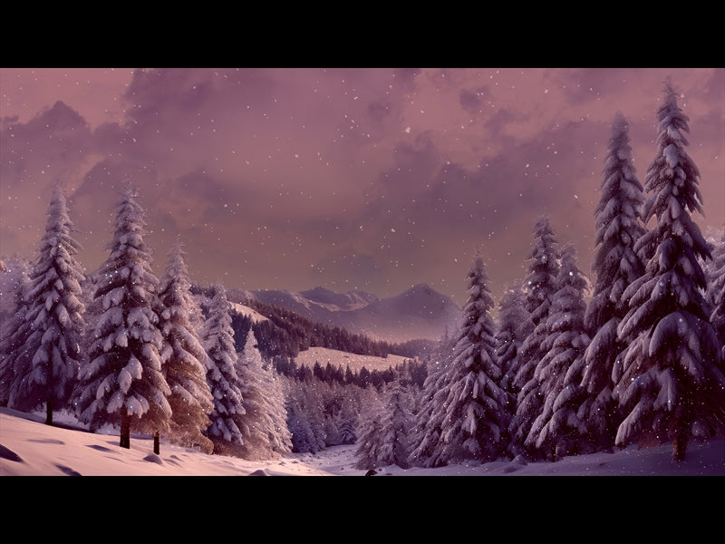 Christmas Snow 5