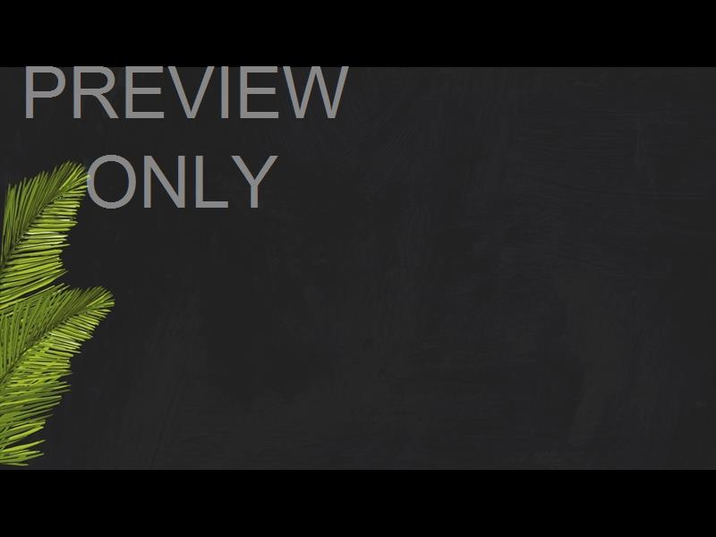 Polaroid Palm Still 07