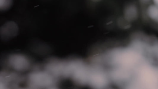 Winter Snow Earth Still