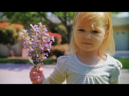 Mother's Day - Looking Back