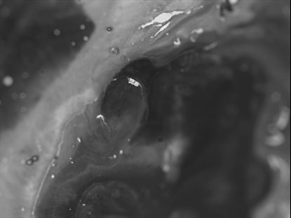 Infinity Space Monochrome
