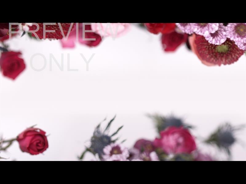 Spring Florals: 4 Still