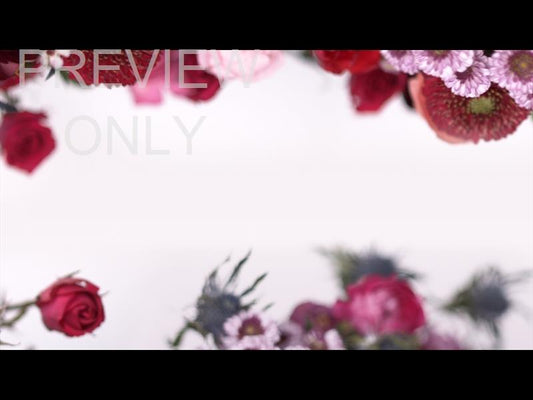Spring Florals: 4 Still
