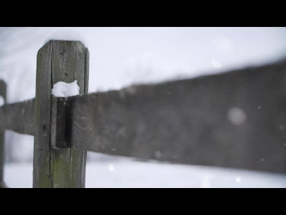 Snow Winter Background 12
