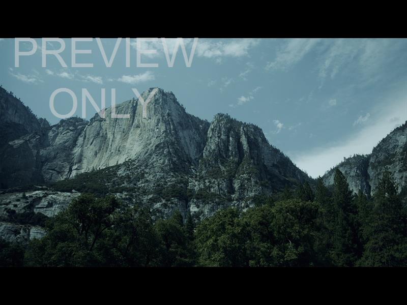 Yosemite Meadows Still - 04