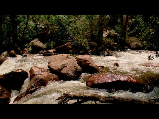 El Dorado Motion 8