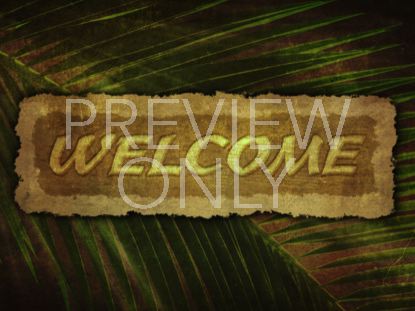 Ancient Palm Welcome 1