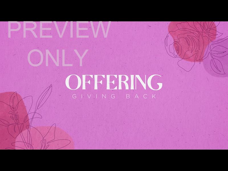 Floral Lines: Offering Still