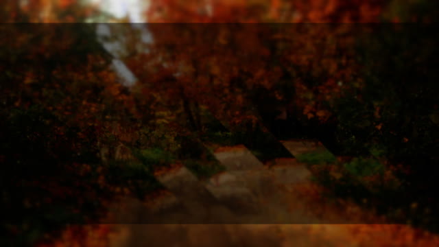 Autumns End 10 Alt