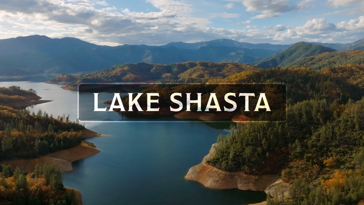 Lake Shasta