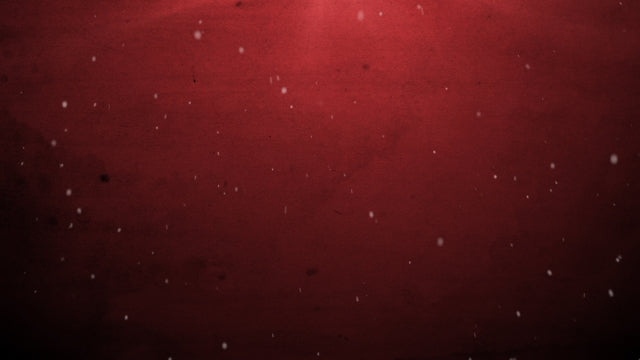 Winter Snow Red