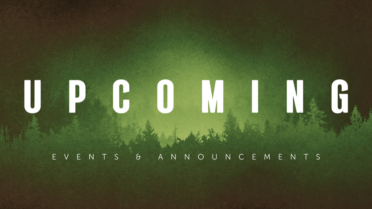 Timberline Still Upcoming