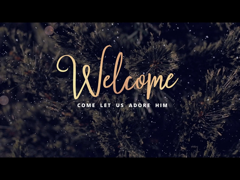 Christmas Tree Christmas Welcome