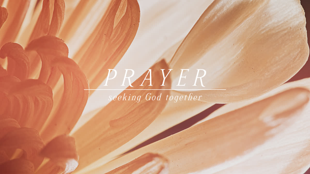 Flowers Of The Field Still Prayer