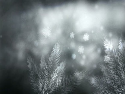 Silver Forest