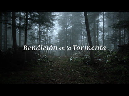 Bendicion En La Tormenta
