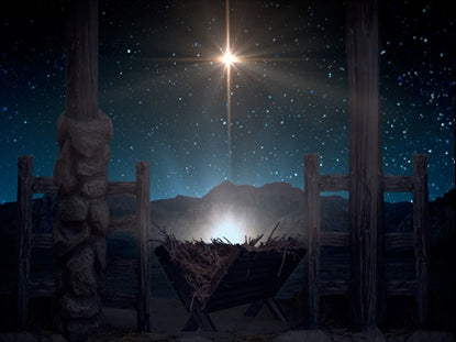 Starry Night Nativity 7