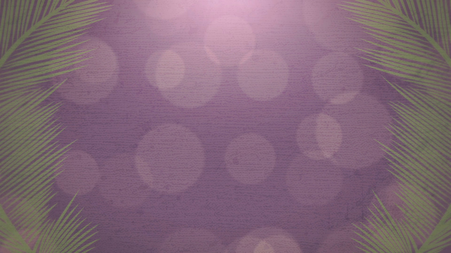 Palm Sunday Bokeh 04