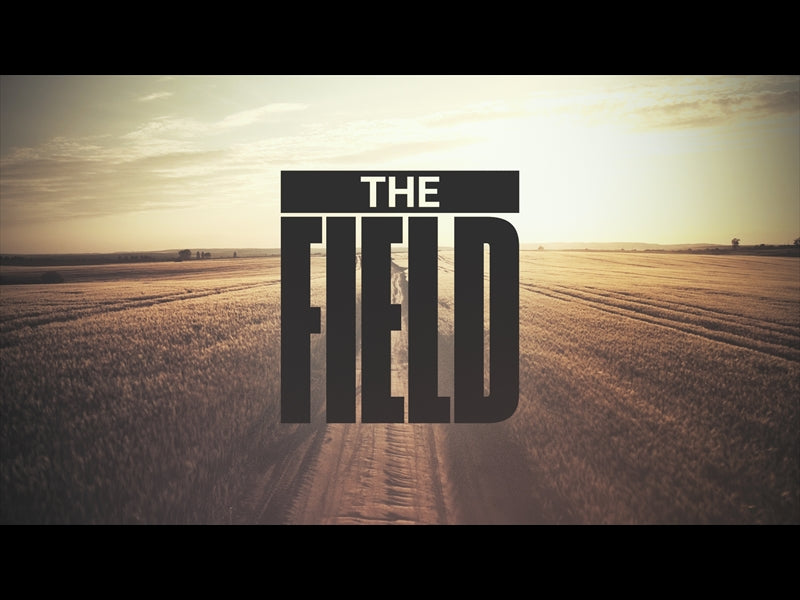 The Field