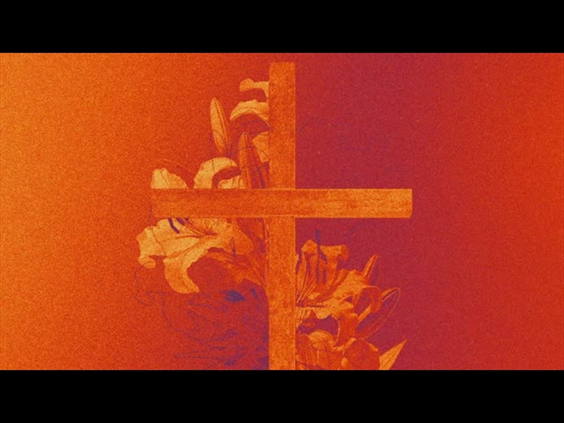 Easter Colors Pink And Orange 2