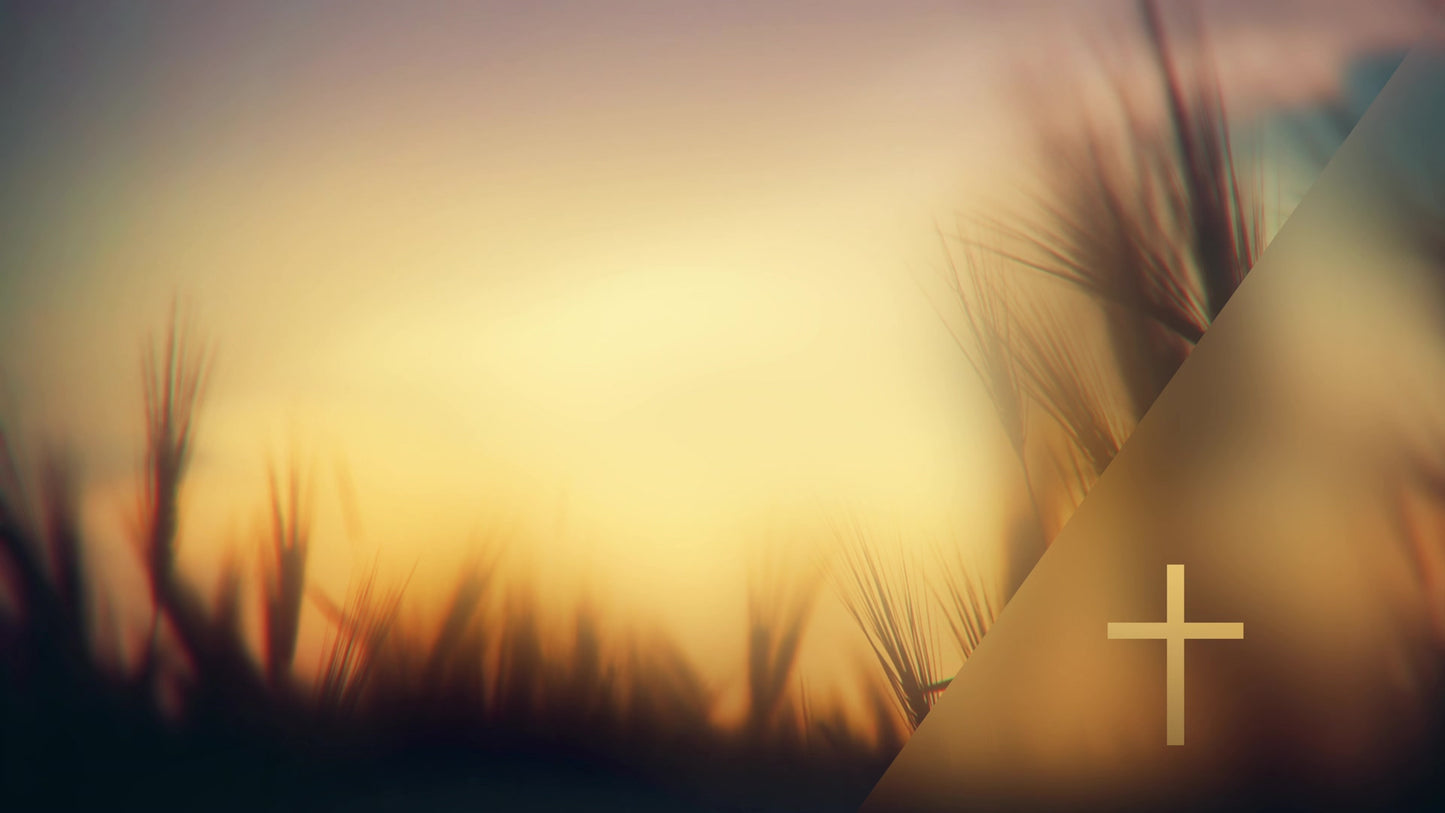 Days End Growth Cross Still