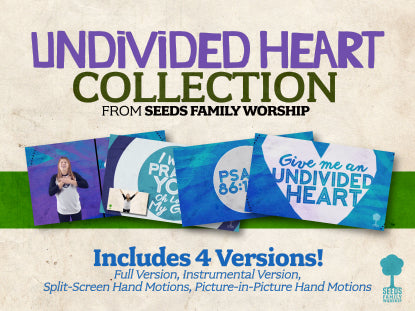 Undivided Heart Collection