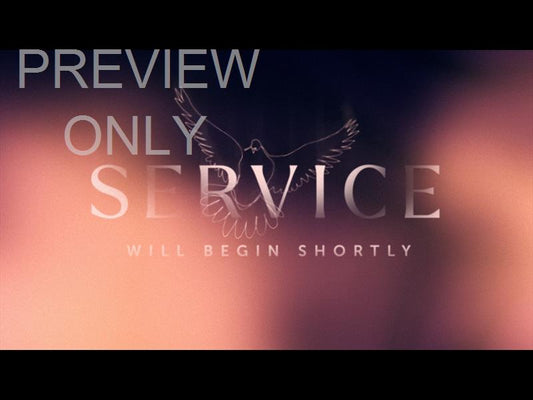 Soaring Service Still