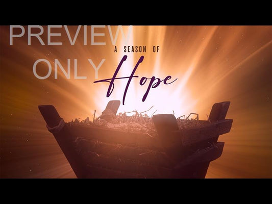 Christmas Manger Hope Still