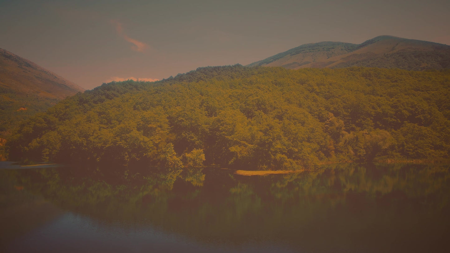 Blue Eye 5 Vintage Still