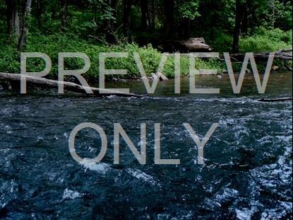 River Wild 7 Hd Still