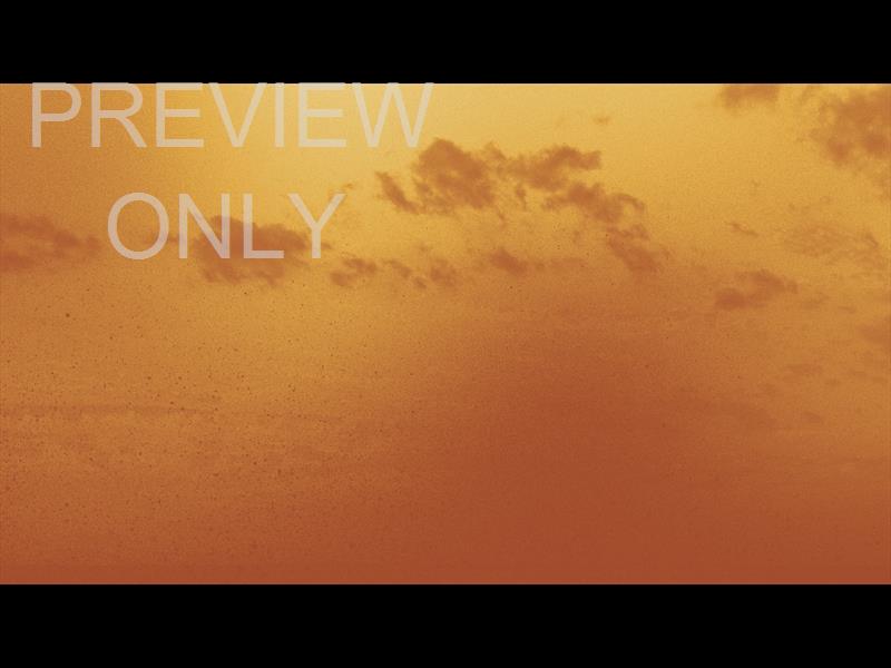 Wilderness Still 07