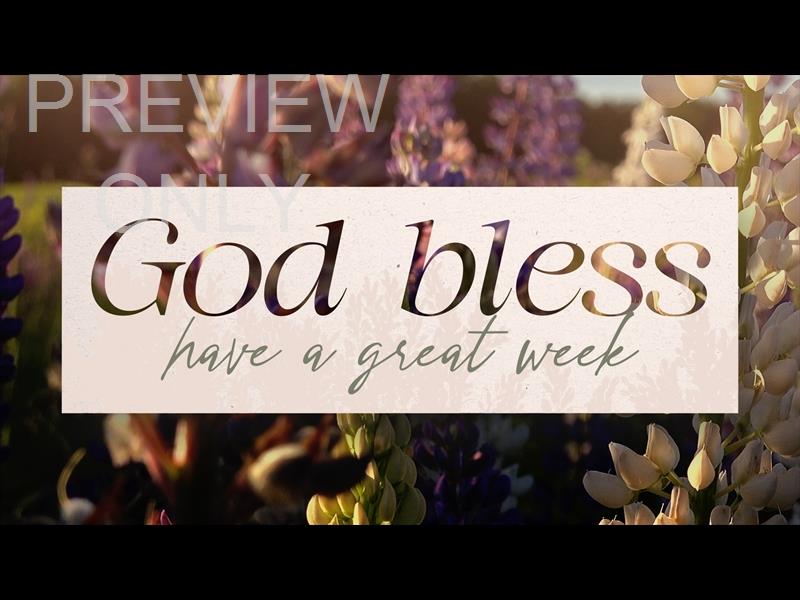 Flower Garden God Bless Still