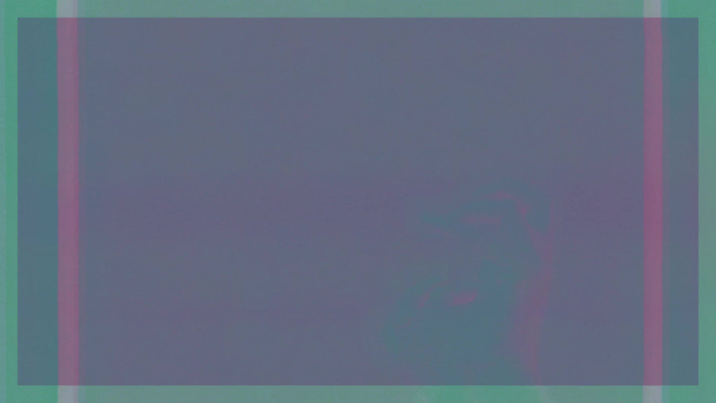 Filter Frames Orange Alt