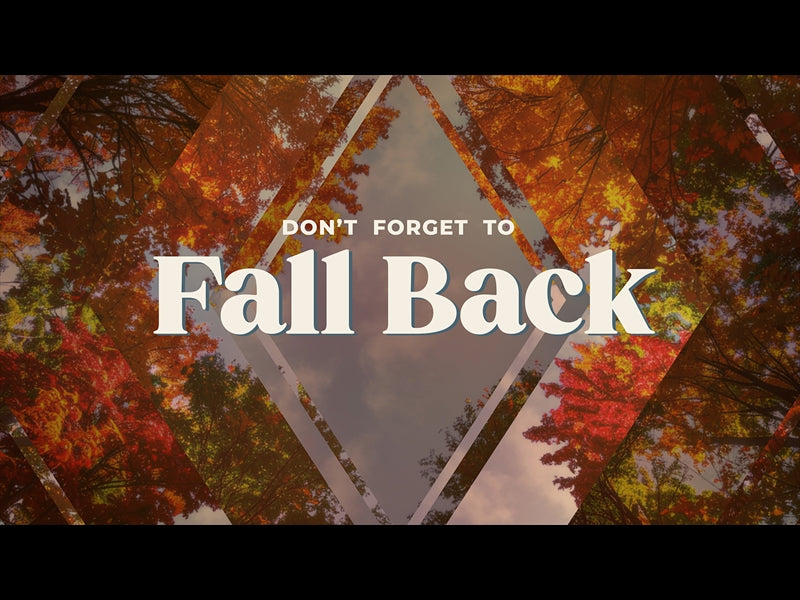 Fall Trees Fall Back