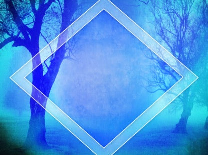 Autumn Forest 9 Motion