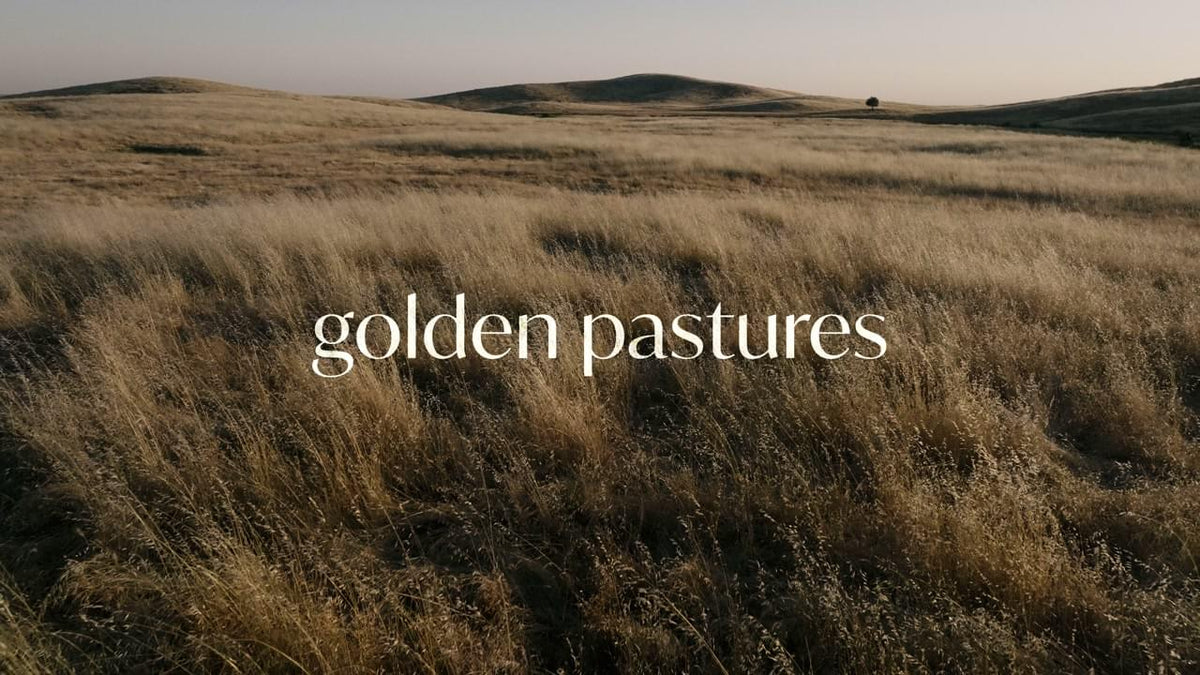 Golden Pastures Collection