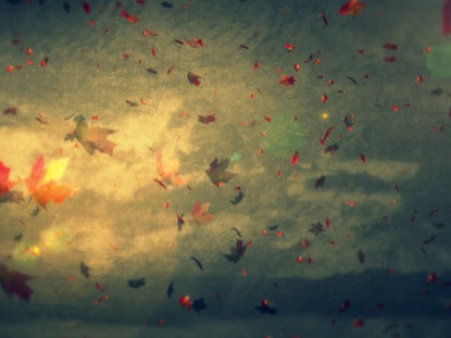 A New Beginning