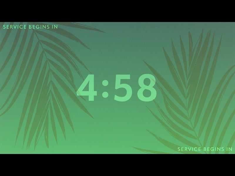 Risen Palms Countdown