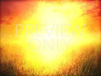 Risen 1 Still