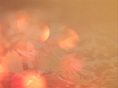 Fall Events Teaching Motion