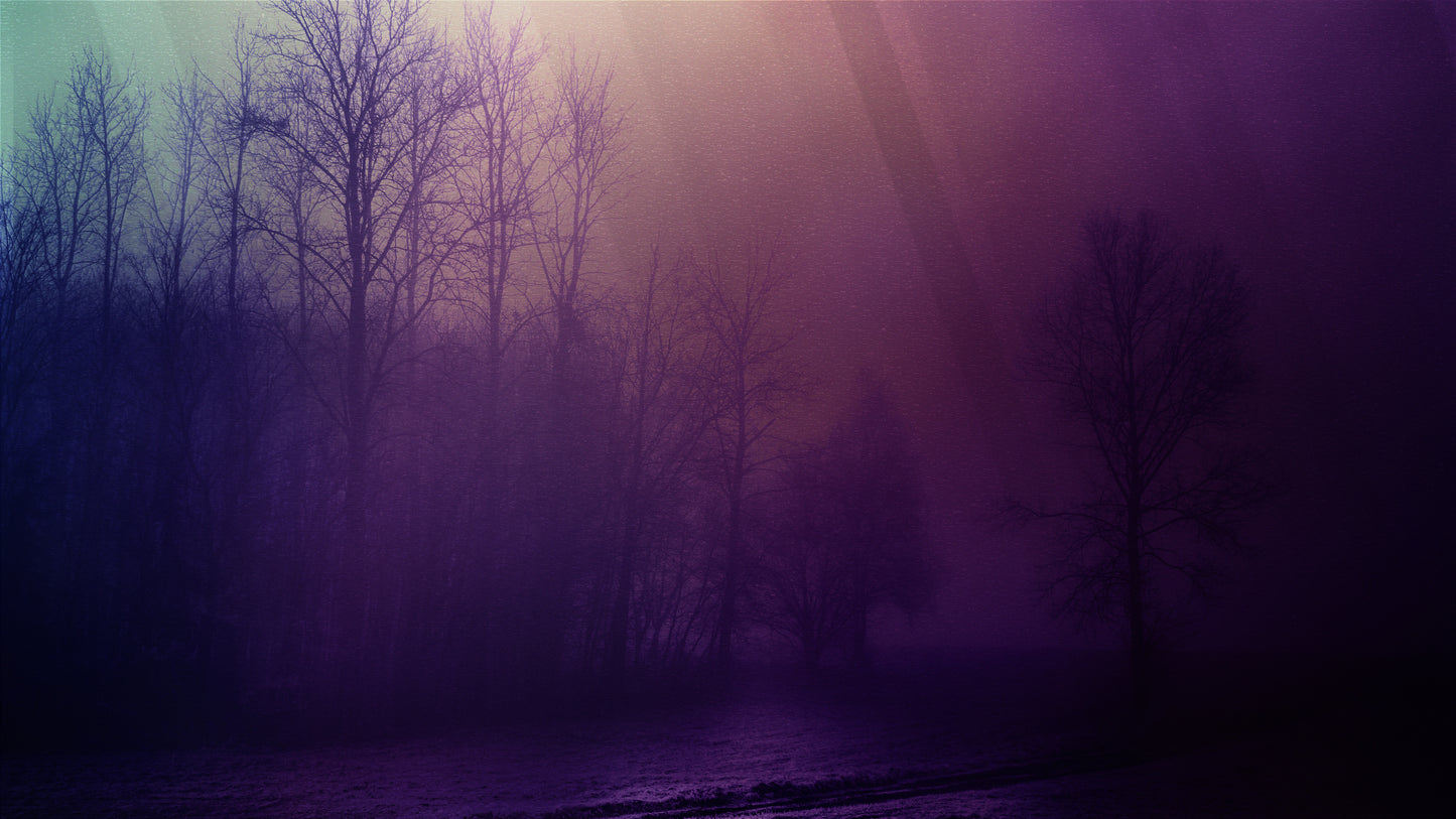 Autumn Mist 3 Still