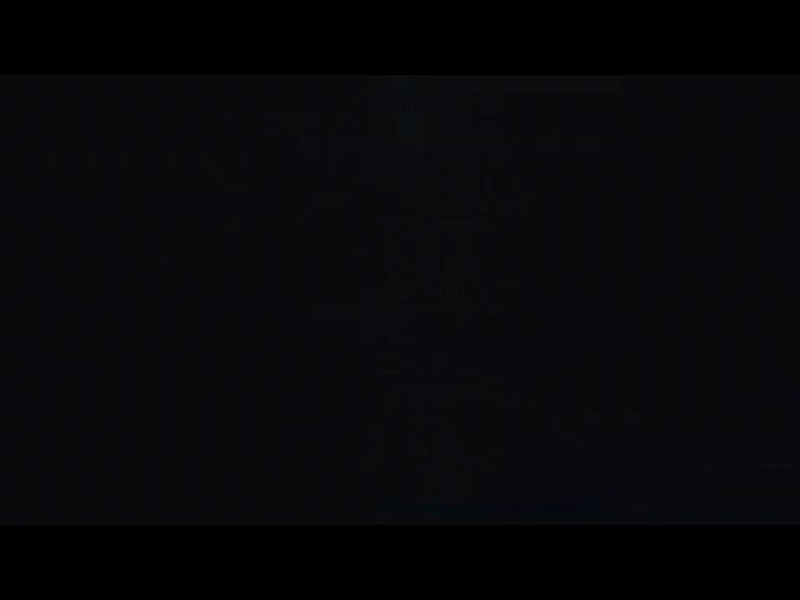Digital Collapse 21