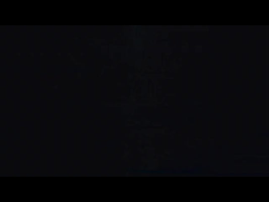 Digital Collapse 21