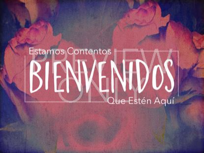 Mothers Day Roses Welcome Still - Spanish