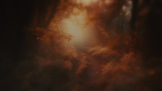 Autumn Path 2 Darken Still